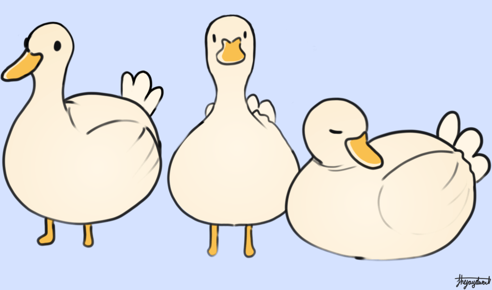 Drawing Ducks